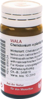 Chelidonium e Planta tota D 3 Globuli